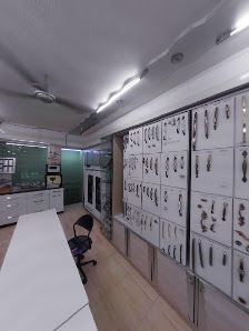 Wall of furniture handles in the Surat showroom
